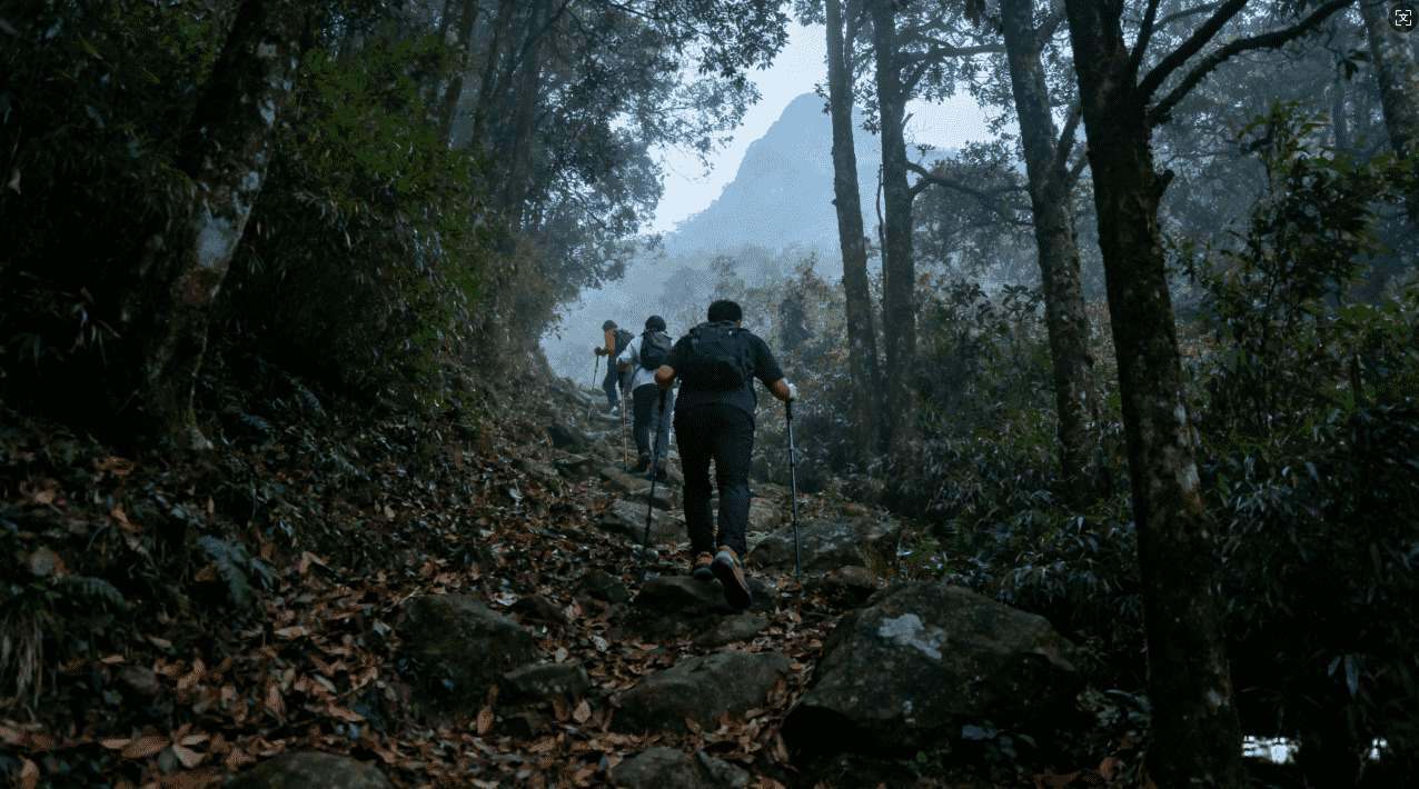 橡树加速器下载后如何打开Ins应用指南